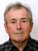 VLADIMIR UDOVIČIĆ