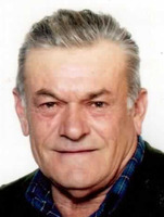 IVAN MILETIĆ