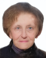 EMA VOZILA