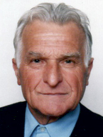 IVAN RADETIĆ dipl.ing.