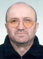 MILOVAN VLADISLOVIĆ                                           