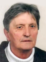 VLADO VIŠKOVIĆ