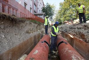 Istra prednjači po broju stranih radnika: ovo su tri najveće zablude