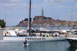 Rovinj ugostio impresivnu flotu maksi krstaša iz cijelog svijeta (foto)