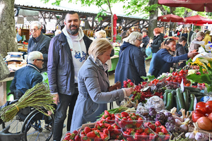 Nije bilo srdela, ima pulskih jagoda, a Skoko kupovao šparuge (foto)