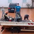 Bujštinu je pogodilo nevrijeme, u Novigradu poplave (video)