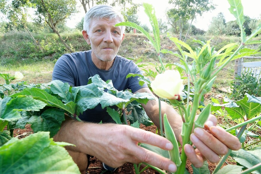 Mato Zrimić (Foto: Milivoj Mijošek)