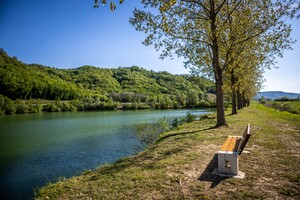 Produženi vikend u središnjoj Istri u znaku festivala ribljeg street fooda 