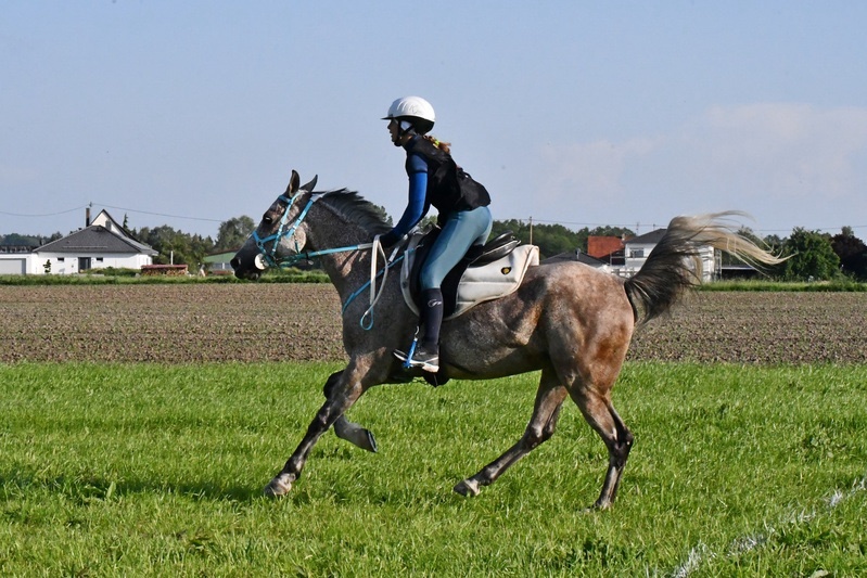 Barbara Šošić (Foto: KK Istra)