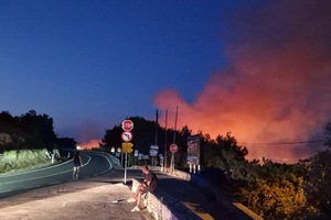 Gorjela borova šuma kod Vidikovca, požar pod kontrolom