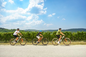 Starta prva biciklijada Poreč Loves Bike 