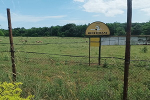 Bivši Horse centar u Loboriki ima novu suvlasnicu, a evo o čemu ona razmišlja...