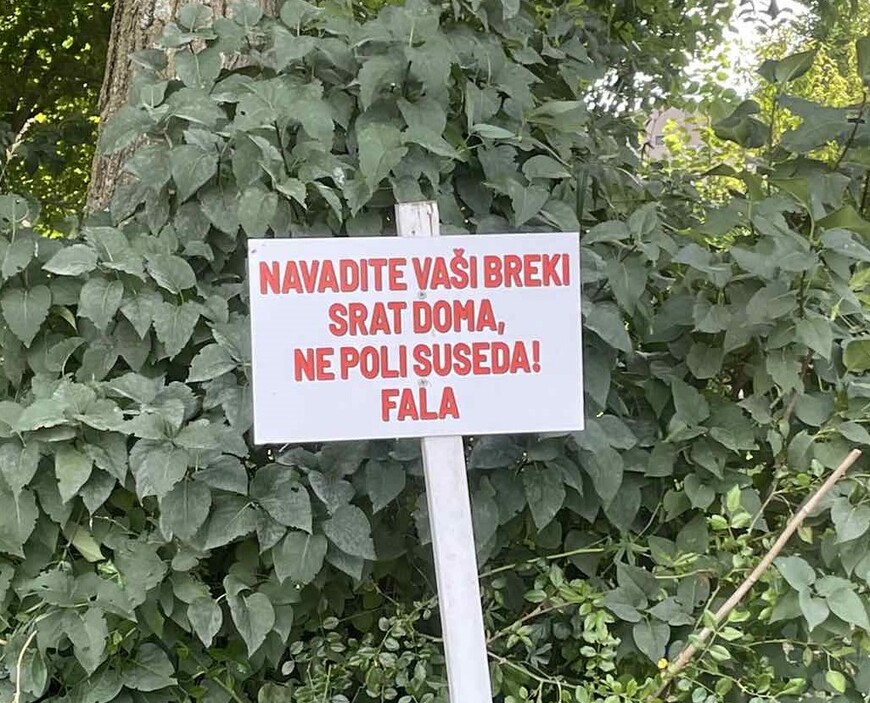 Foto: Čitatelj