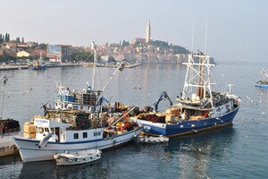 NEZAPAMĆENO LOŠA SEZONA ULOVA PLAVE RIBE: U poteškoćama ne samo ribari već i tvornice za preradu ribe