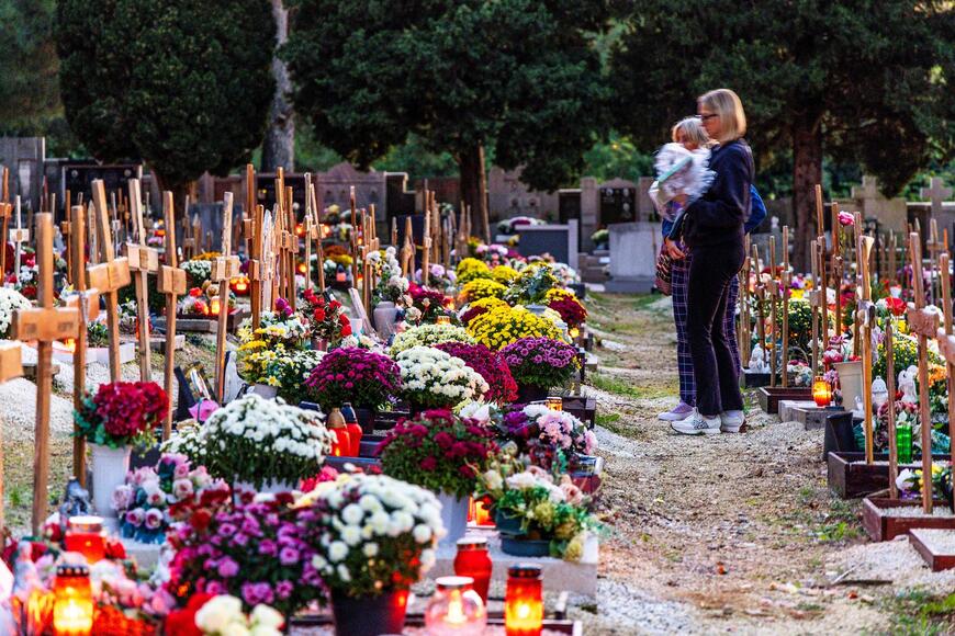 Gradsko groblje Monte Giro u Puli (Foto: Srećko Niketić/Pixsell)