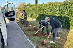 U Poreču počela sadnja 2.000 stabala i sadnica mediteranskog bilja