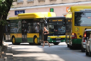 U Puli će ozelenjeti autobusne nadstrešnice. 'Ovo je više od ulaganja, to je poruka'