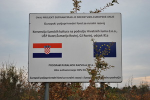 Umjesto starih borova - šipražje i zmije