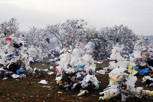 Plastične vrećice ukrasile prirodu nedaleko Kaštijuna