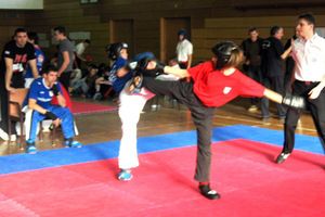 Kickboxing klub Lav u Topuskom osvojio deset medalja