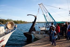 Kraj Poreča ulovili psinu dugu 9 metara i tešku dvije tone