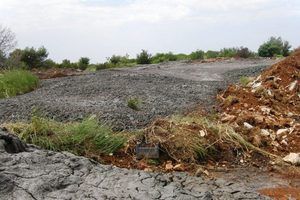 Ekocid u Medulinu: Usred borove šume ispušten opasni mulj