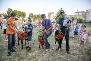 Naj koza obilježila drugi dan Festivala sira u Svetvinčentu