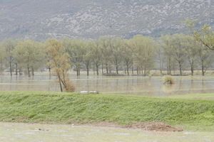 Poplavljeni Antenal, Most Raša, Plomin Luka i Čepićko polje