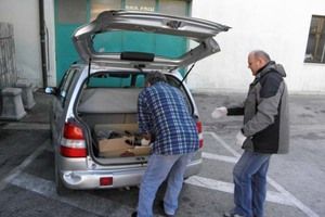 Na labinskoj tržnici masovno trovanje mačaka (uznemirujuće fotografije)