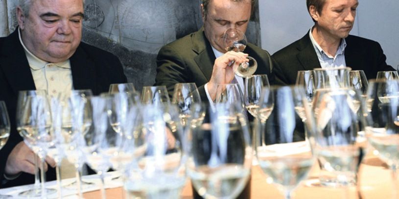 Istarska malvazija prvo je hrvatsko vino koje je dobilo čast i privilegiju da Georg Riedel za njega dizajnira posebnu čašu (Foto: Jutarnji list)