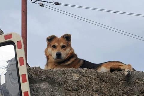 Mnogi su ovu sliku stavili na svoj profil kao podršku grupi