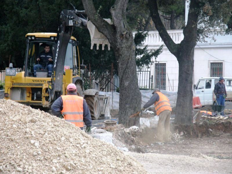 Zelna Istra reagirala je na poziv građana i ustanovila da je posječeno još šest sabala