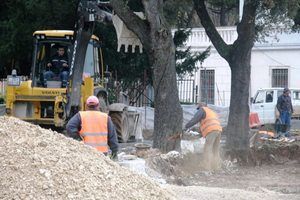 Zelena Istra: Grad Pula nastavlja s brutalnim rušenjem zdravih stabala na rivi!