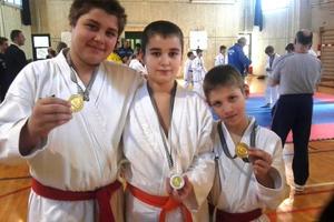 Na Županijskom prvenstvu u karate borbama Shotokan iz Umaga osvojio tri medalje