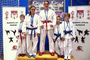 Pulskim Lavovima osam medalja na Maribor Open 2011