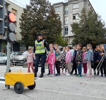 Kako prijeći zebru?