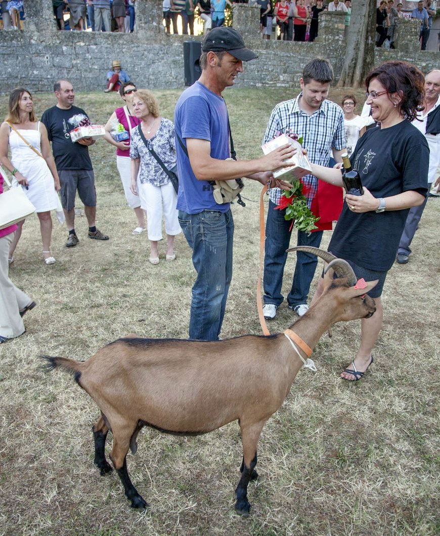 Mis koza: Anđela s Kumparičke