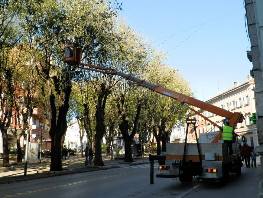 Na Giardinima se postavljaju lampice